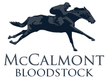McCalmont Bloodstock